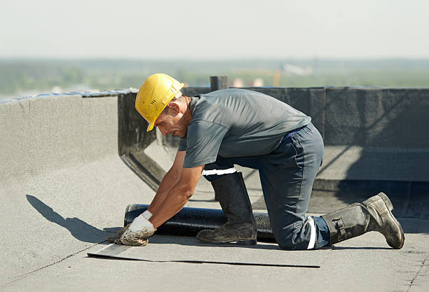 Best Specialized Insulation Services in South Woodstock, CT